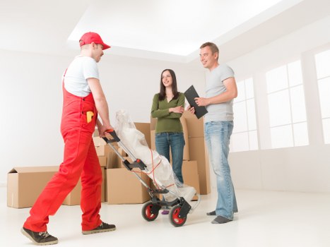 Careful packing and transport planning for removals in Spain